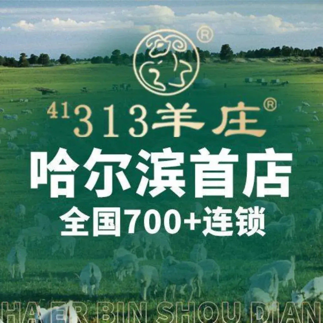 313羊庄(亚布力店)