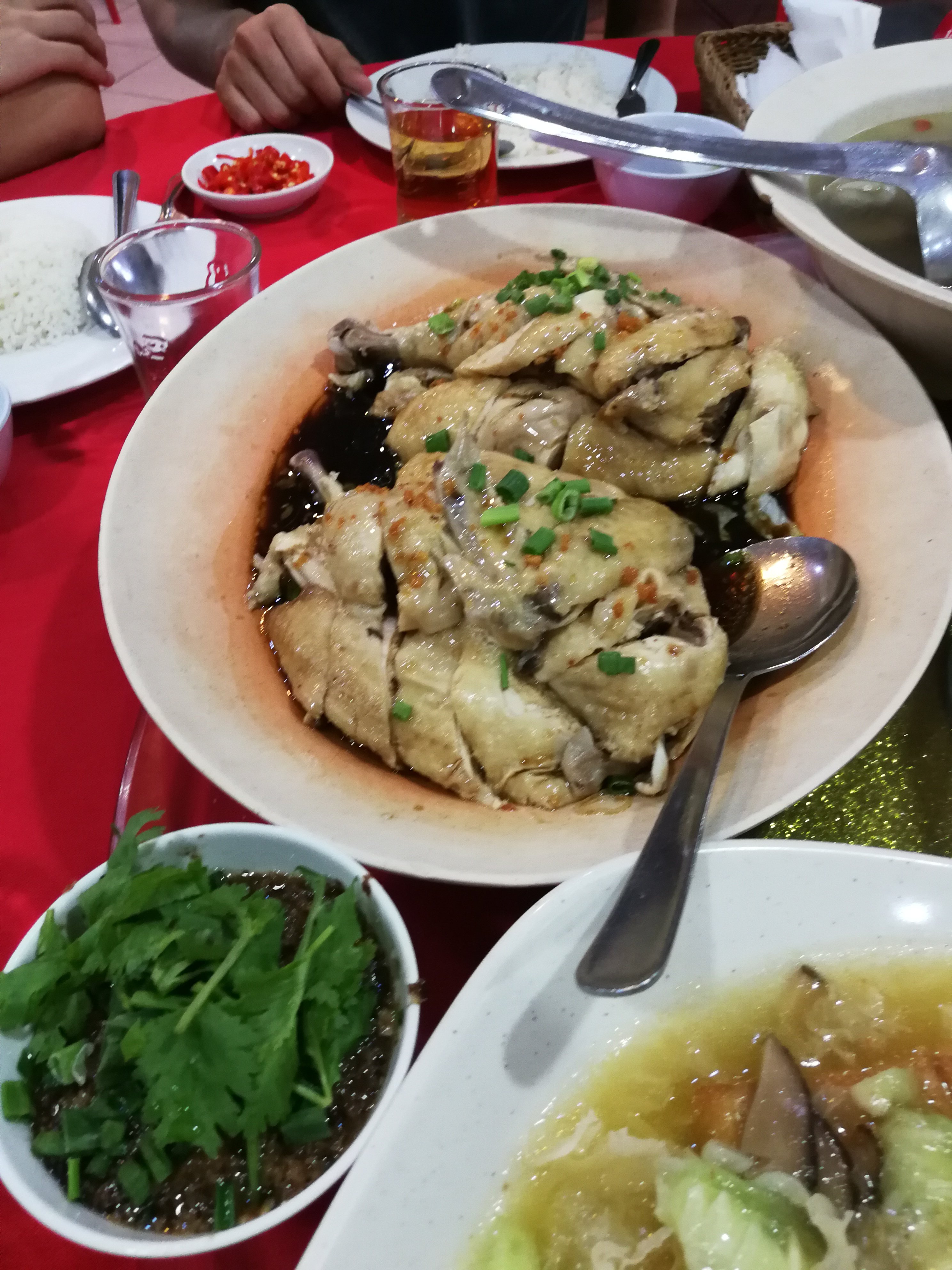 TC Spring Restaurant餐厅图片