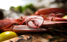 3rd & Ferry Fishmarket