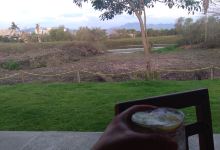 El Estero Nuevo Vallarta美食图片