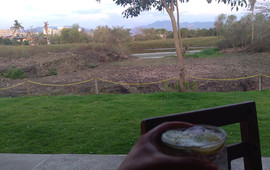 El Estero Nuevo Vallarta