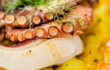 Osteria Il Tonno Rosso餐厅图片