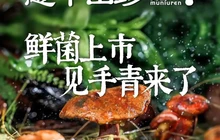 憨牛山珍·刀叉牛肉·云南野菌养生火锅(华容店)餐厅图片