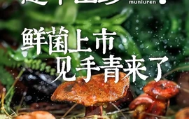 憨牛山珍·刀叉牛肉·云南野菌养生火锅(华容店)