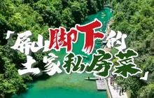 屏山银杏私房菜餐厅图片