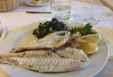Balkan Grill美食图片