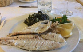 Balkan Grill