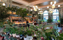 The Ivy Exeter餐厅图片
