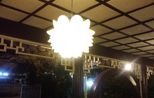La Paillote餐厅图片