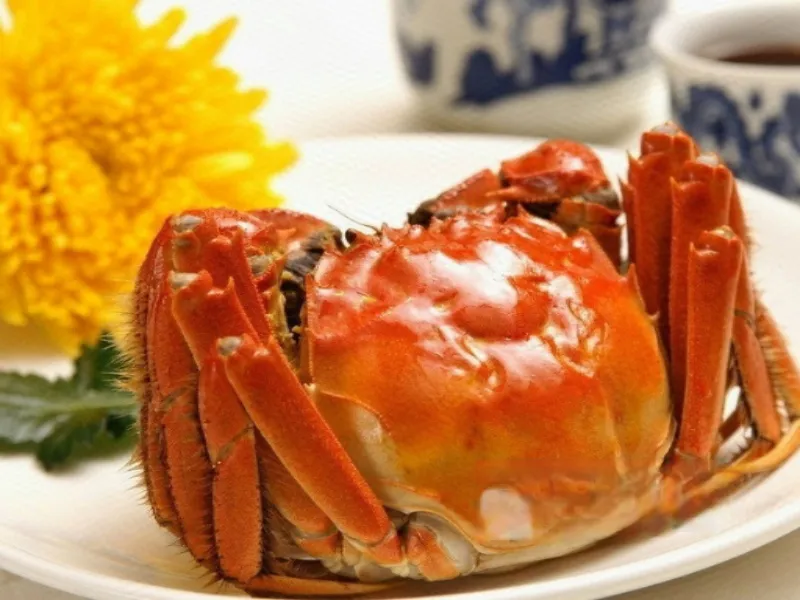 春汛酒家(珠江路店)美食图片