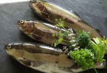 Ski-Hütte Golf Selfranga美食图片