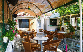 Caffe Bar/ Pizzeria Kaktus