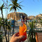 Sun Kiss Beach Bar