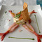 Sporting Beach Ristorante Il Piccolo Bistrot