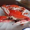 新兴海鲜馆(乍全线店)