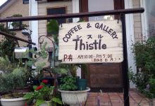 Thistle美食图片