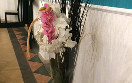 L'Orchidea