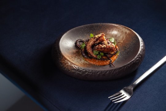 fernandõ gastrotheque