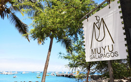Muyu Galapagos
