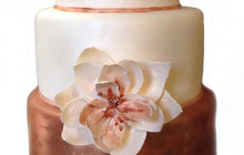 Loana Cakeaway Graz餐厅图片