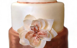 Loana Cakeaway Graz