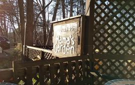 Mama's Garden
