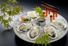 焼がきの はやし美食图片
