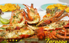 La Tarappa Italian Restaurant Pizzeria餐厅图片