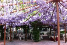 Dionysos Garden Restaurant美食图片