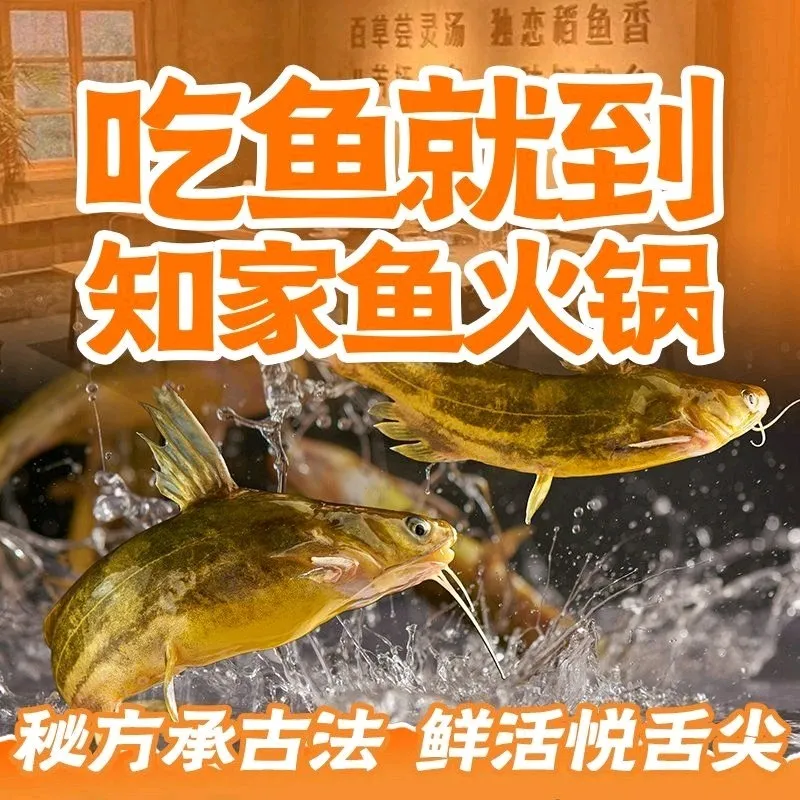 知家·鱼火锅(南浦路店)