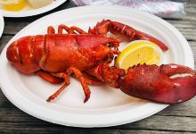 The Net Result购物图片