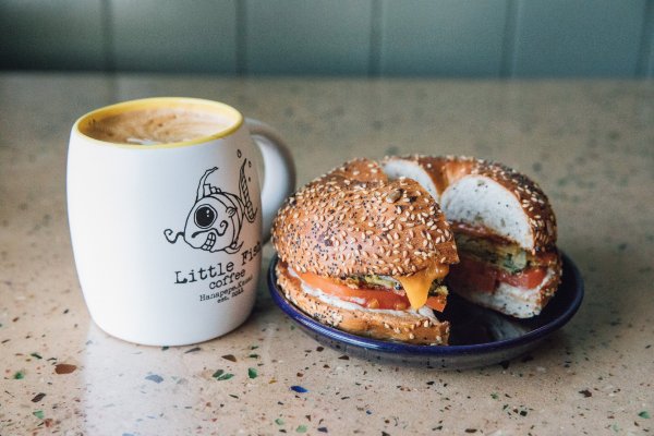 Little Fish Coffee
