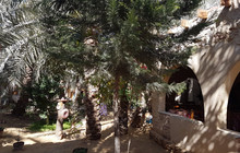 Nour El Waha Garden Restaurant餐厅图片