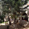 Nour El Waha Garden Restaurant