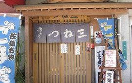 Tsunesan