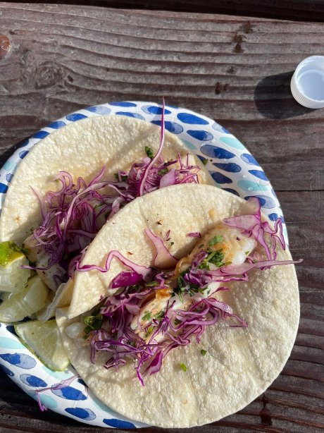 Talkeetna Tako
