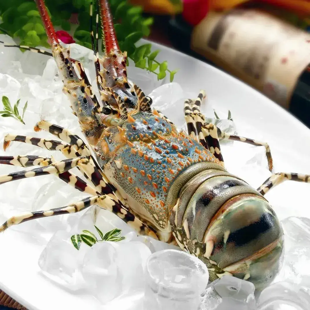 辉弟海鲜大排档美食图片