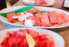 Kontaku Nagashino购物图片