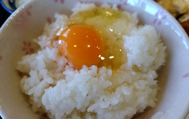 Cocco Farm Tamago-An Restaurant