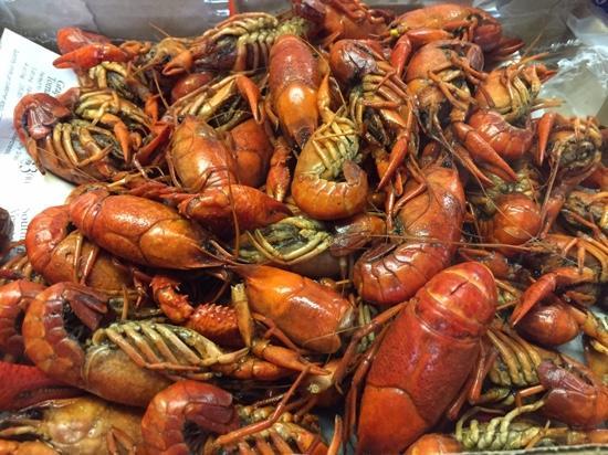 Cub's Crawfish