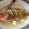 Edo's Squid