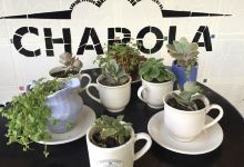 Charola Cocina & Bazar美食图片