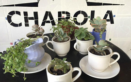 Charola Cocina & Bazar