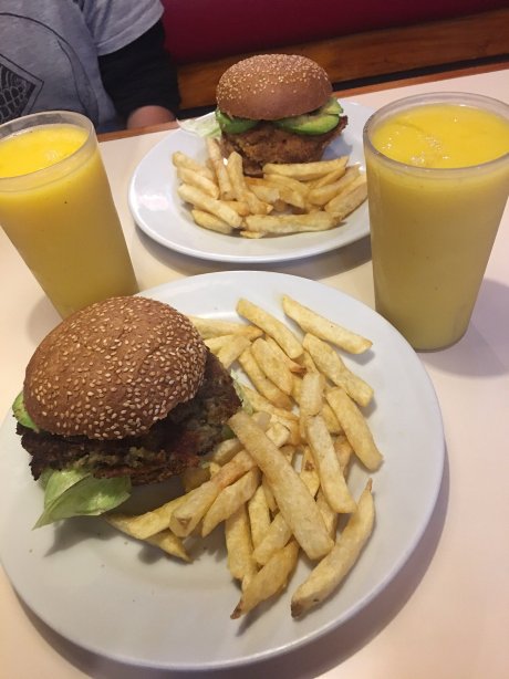 Mister Pollo Norte
