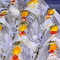Rajasthani Mishthan Bhandar