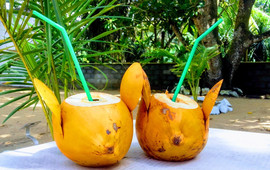 Lavila