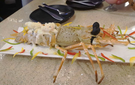 Kokoons - Modern Indian Diner