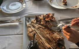 Quinta da Falca