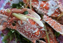Trung Luong Seafood Restaurant美食图片