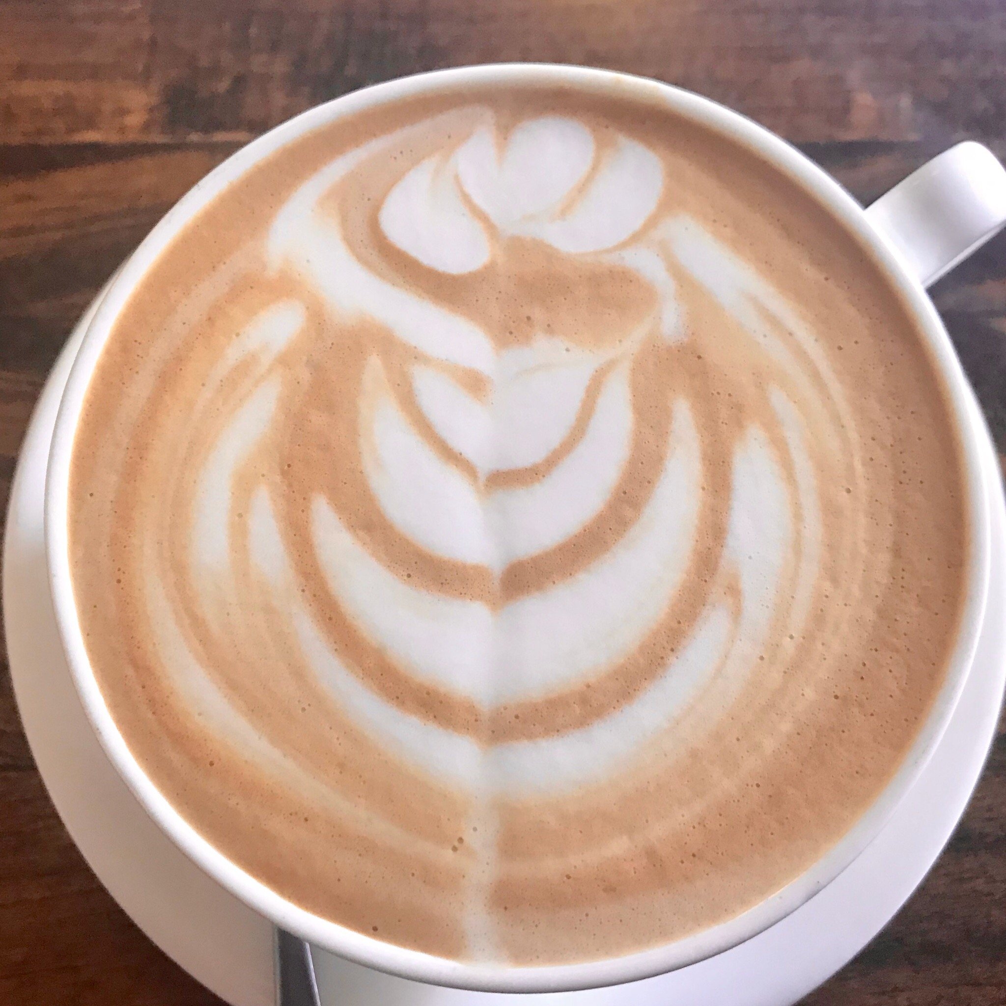 Cafe Gourmet Toc-Toc